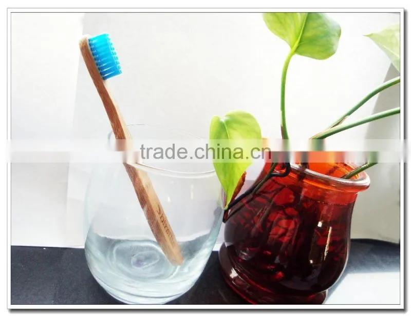Travel portable personal oral hygiene bamboo toothbrush
