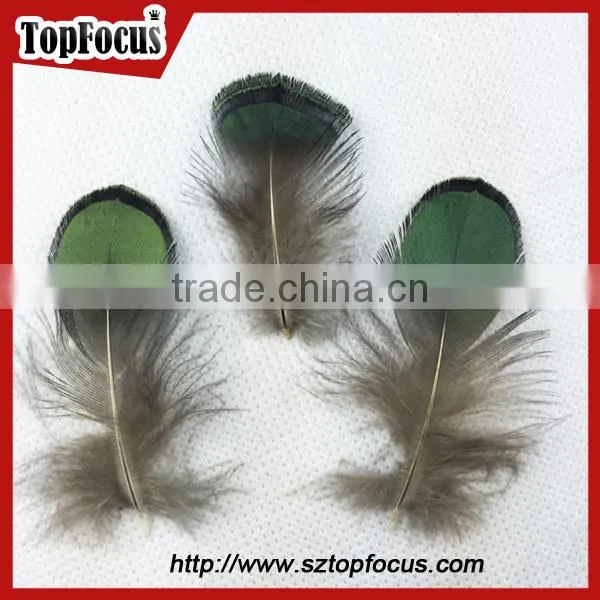 carnival decorate green loose lady amherst pheasant feathers for sale