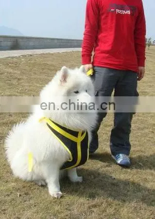 professional custom durable hands free running dog leash
