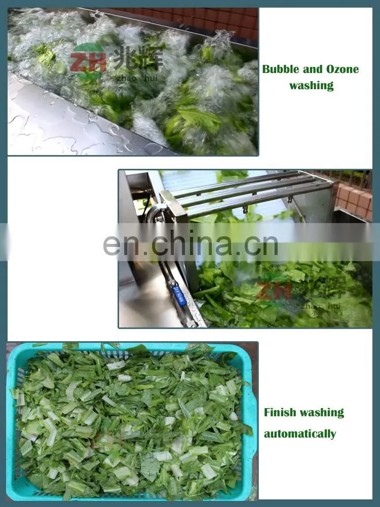 Commercial Stainless Steel Ozone Bubble cabbage Vegetable Washing Machine