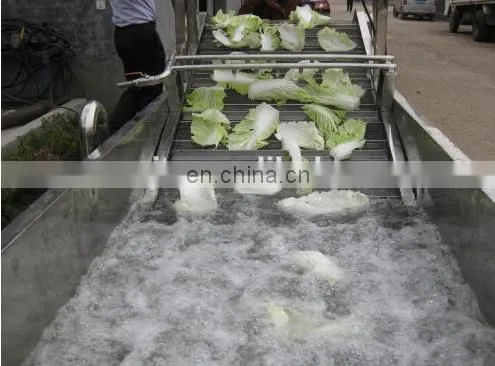 Fruits and Vegetables Washing machine, air and water bubble vegetable washing machine