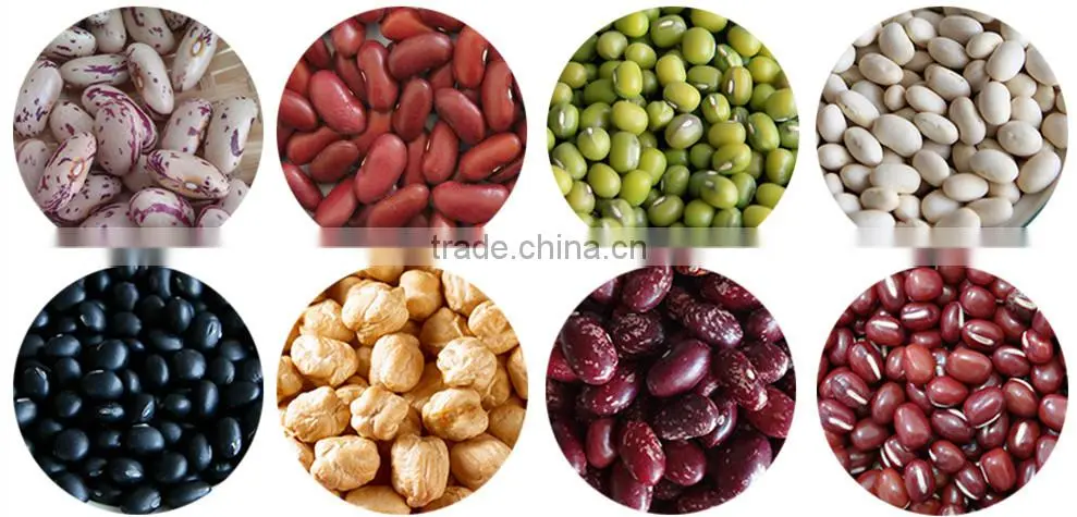 Price Modified White Corn Starch (Hot sell)