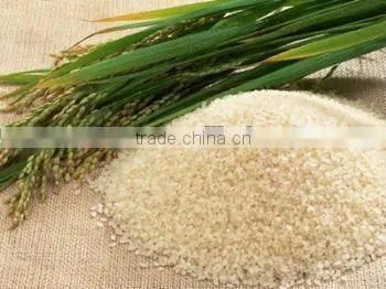 delon powerful rice macking machine