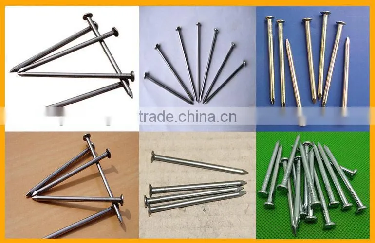 Galvanized Concrete Nails Manufacturers India