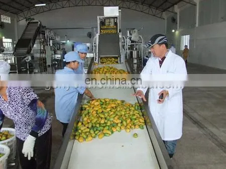 alphonso mango puree production making line