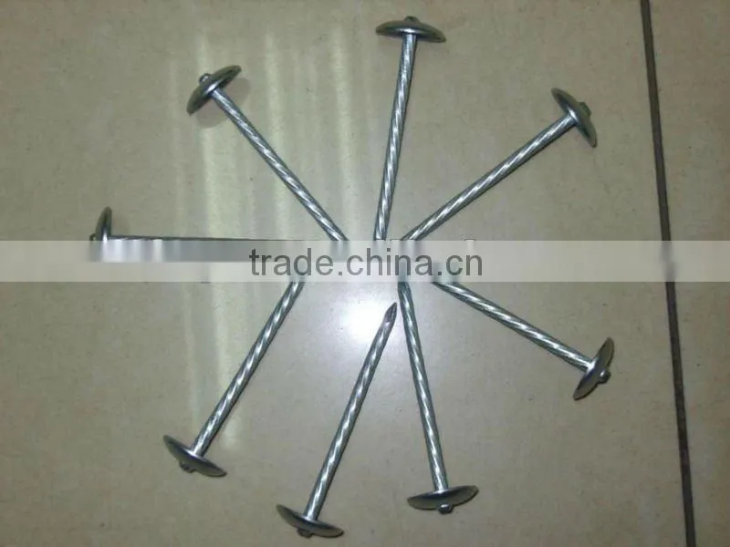 umbrella head roofing nails factory