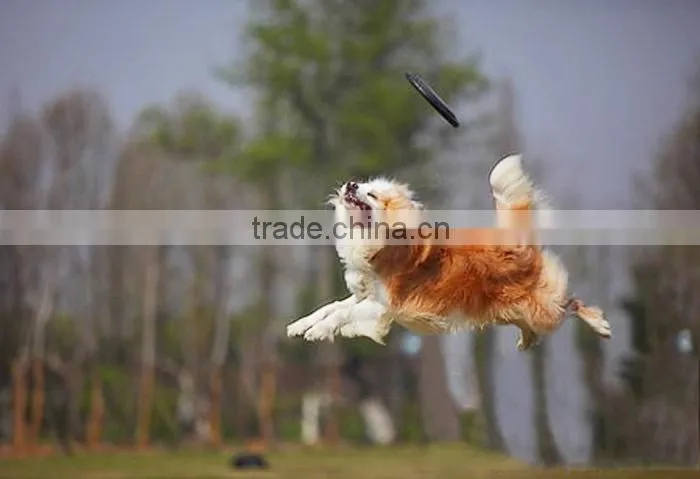 2015 Wholesale frisbee, high quality silicone frisbee, dog toy