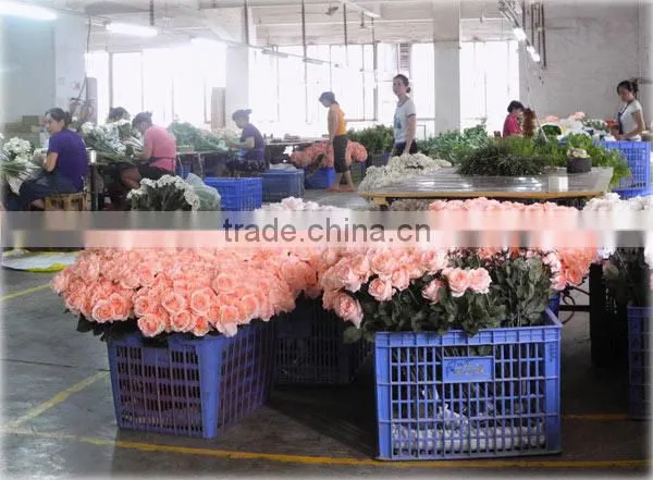 Yiwu Rocky Arts And Crafts Factory company overview - view 1