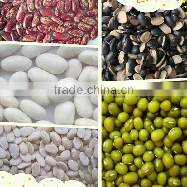 High Quality 24/64 Sunflower Seeds