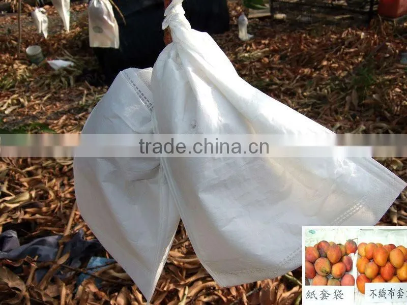 fruit bags machine