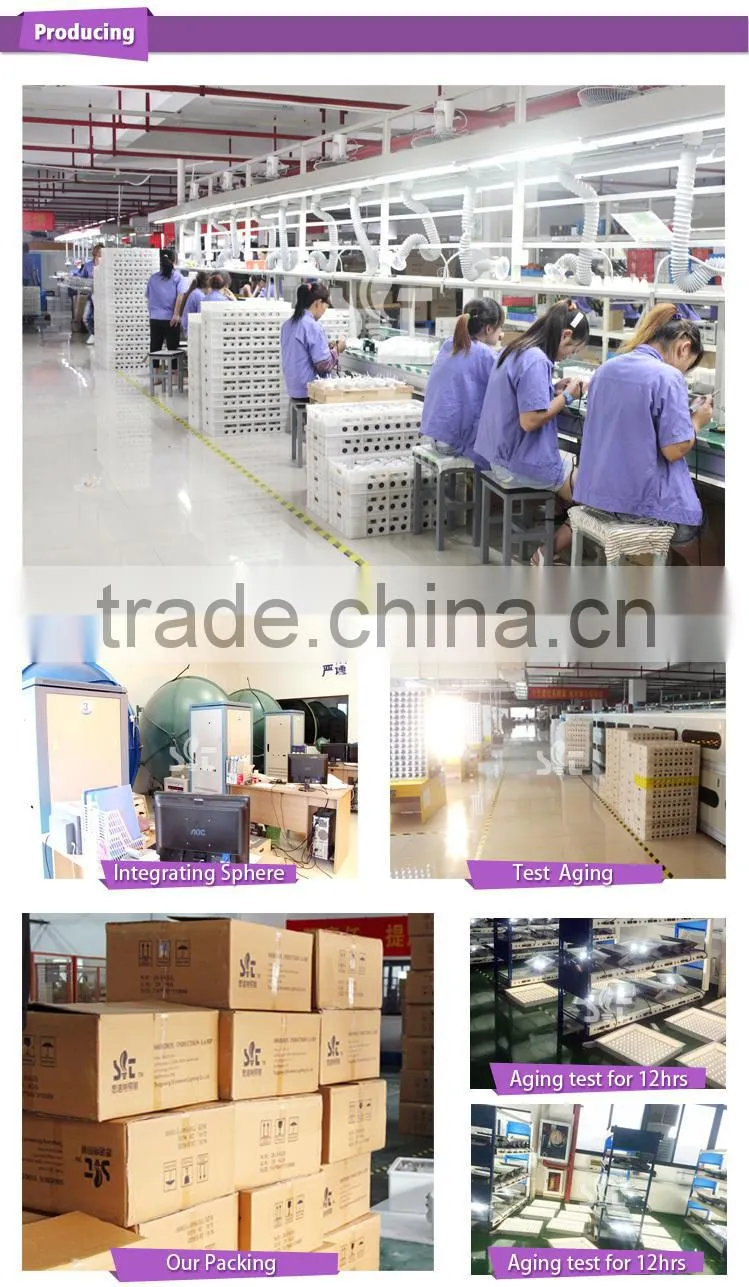 LED Globe Bulb G120AC110V 85-265V 220V 15W 4000K-4500K Pure White E27/B22 CRI80 PF0.9 Beam Angle270 CE/RoHs Alu Coated By Plastc