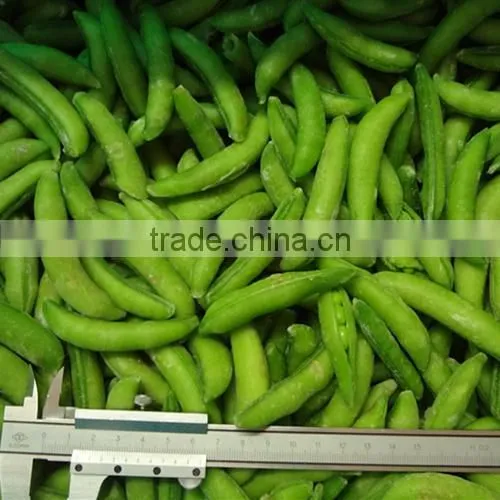 IQF frozen fresh high quality suger snap pea