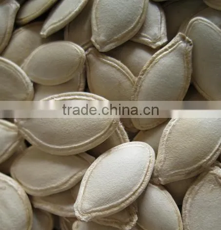 Chinese Snow White Pumpkin Seeds, Dried Pumpkin Seeds
