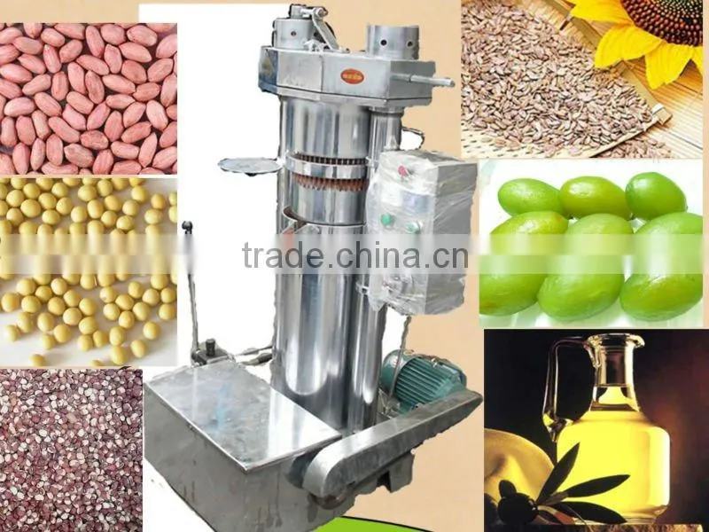 small cold press oil machine from factory