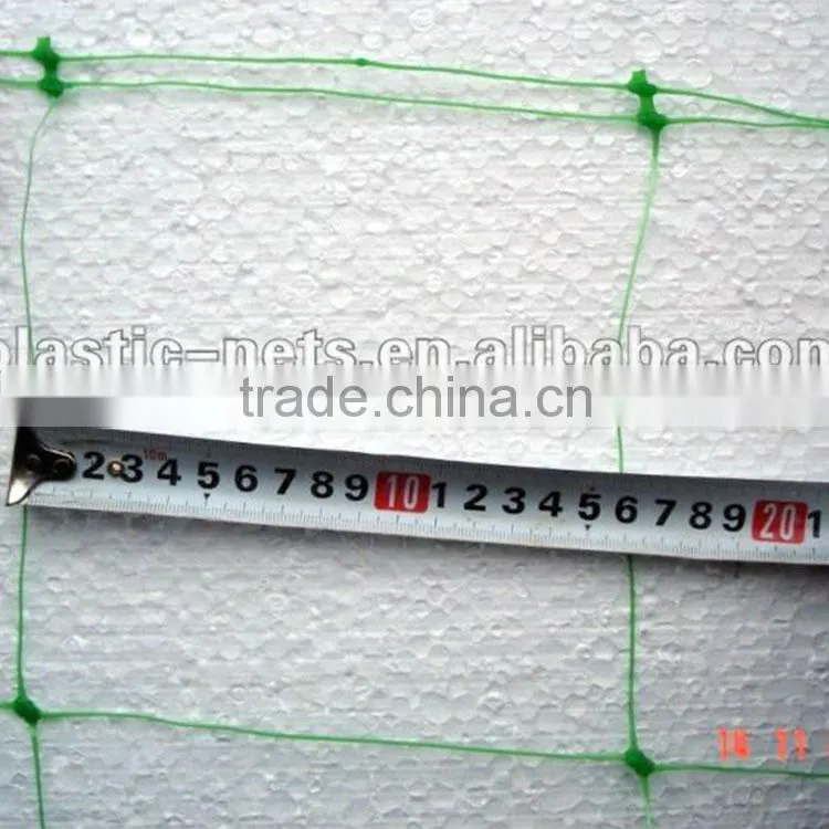 plastic bi-oriented Turf Protection Net