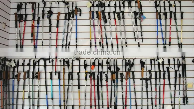 GS Approved One Section Aluminum6061 Ski Stick