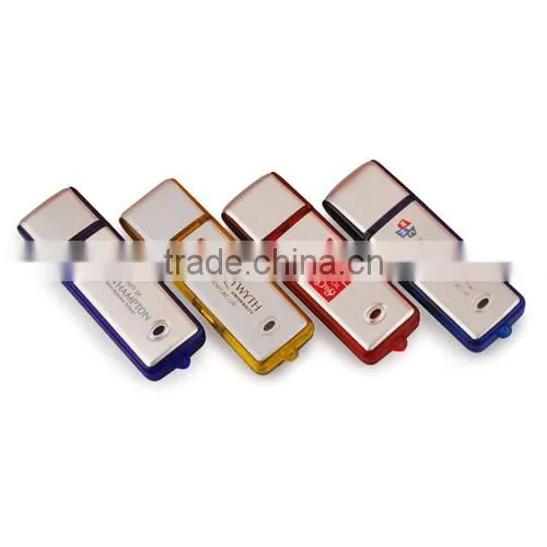 Full Capacity FreeSample USB Flash Disk Logo Printing