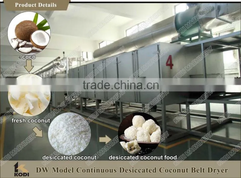 KODI High Quality Desiccated Coconut Belt Drying Machine