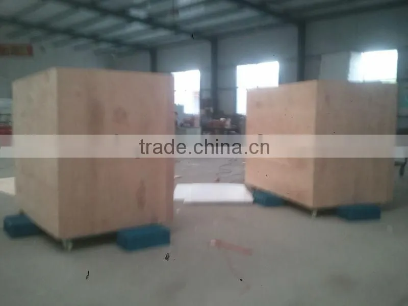 Green bean sprout making machine/machinery/maker