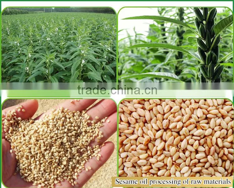 China's high quality sesame oil/ Refined Pure Gingelly Oil