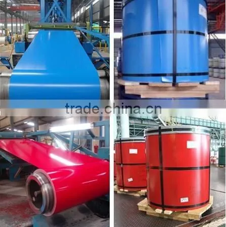 Paint Prepainted Galvanized Steel Coil/ Sheet