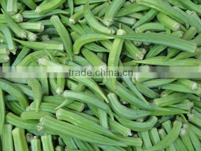 Fresh Vegetables