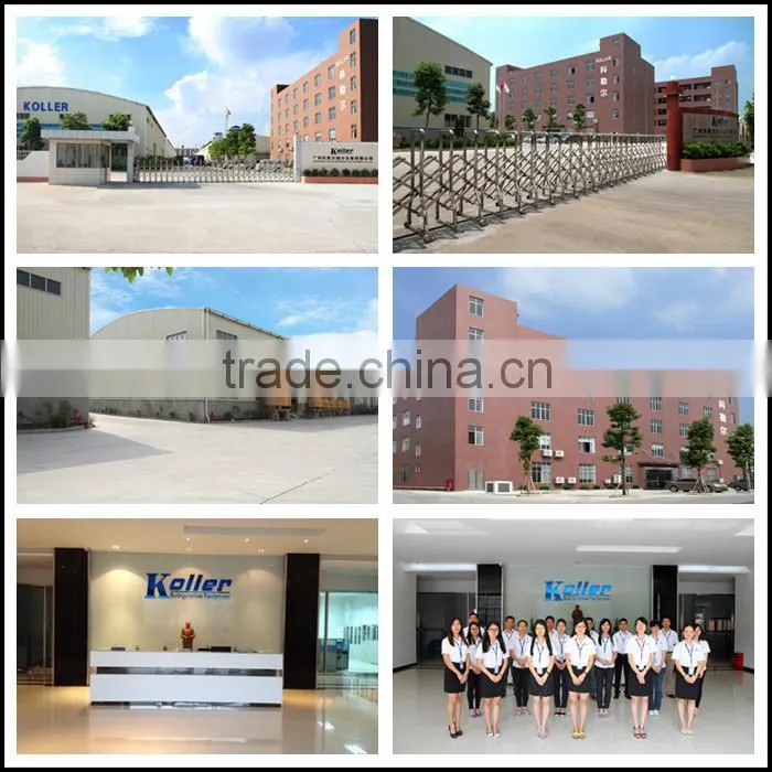 Koller New Technology 15 tons Cold Storage Room with PU panels for fish meat