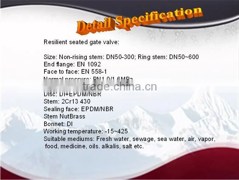 DN50~DN600 Resilient Seated Gate Valve