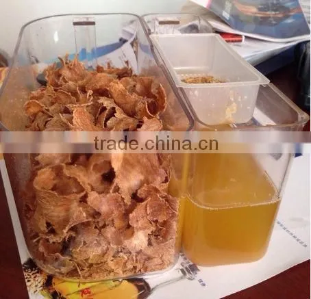 Professional Oil Press Manufacturer Mini Screw Oil Press/Home Made Oil Press Machine