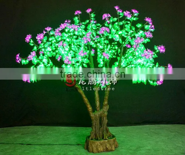 bonsai flowering cherry tree