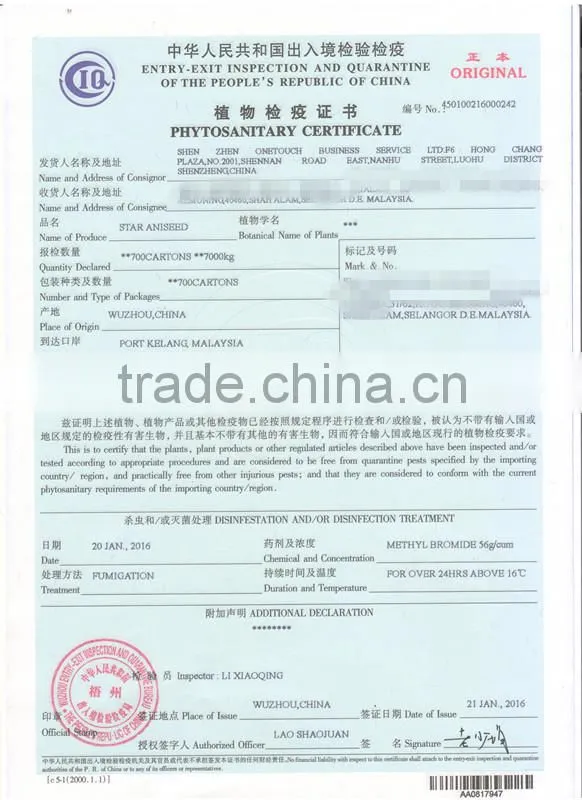 Wholesale Grade A Dried Ginger Powder