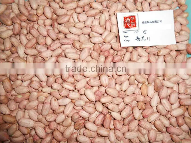 2014 Peanut kernels, Round shape, Chinese Java 40/50 , 50/60 ,60/70