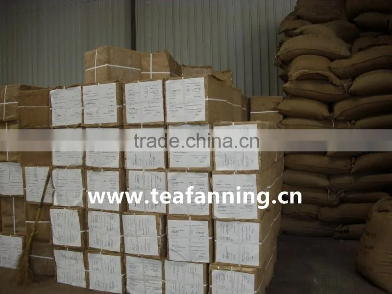China Green tea-Gunpowder Green tea 9373