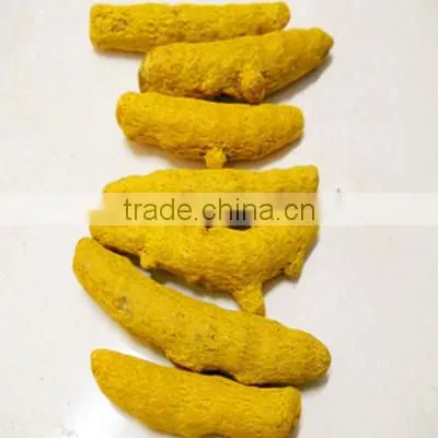 Fresh Best Quality Turmeric