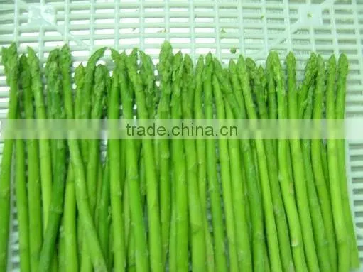 Top quality Frozen green asparagus for 1 kg packed per carton