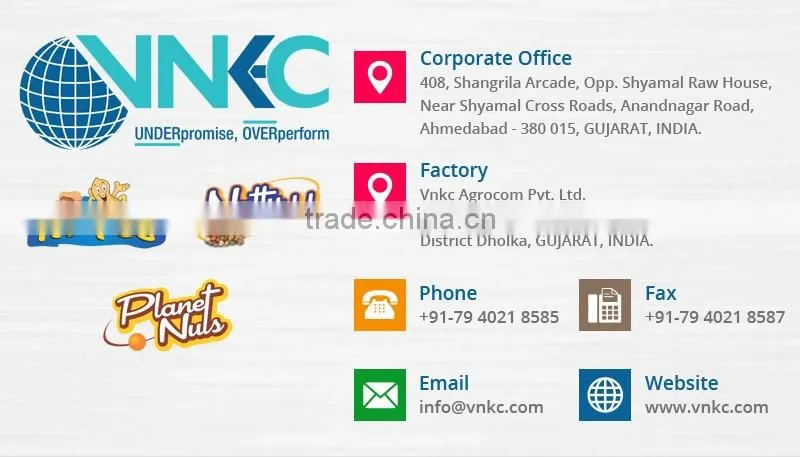 Top Quality 1Kg Private Packed Peanuts at Low Market Price