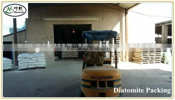 High Absorbent Diatomaceous Earth(Calcined and Raw) Diatomite For Industrial filter aid Uses