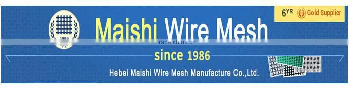 Stainless Steel Wire Mesh/304 Stainless Steel Wire Mesh/Stainless Steel Welded Wire Mesh Factory