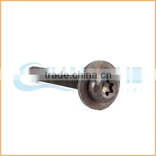 Best price 12.9 grade torx screw