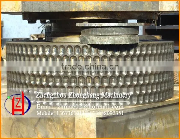 Real Supplier Top Briquetting Press Plant