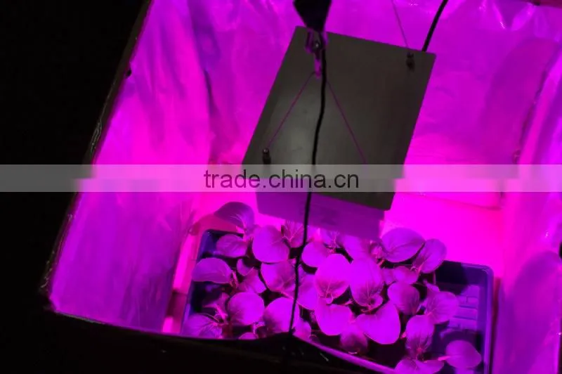 grow light 150w vanq indoor led Plant lamp full specturm cob led
