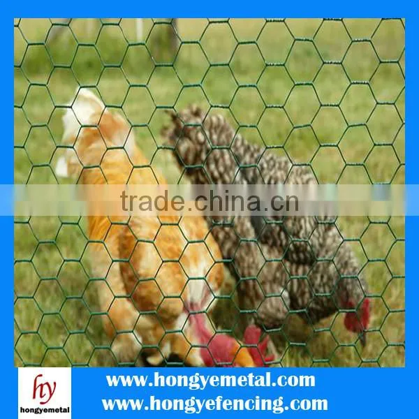 High Quality PVC/ Galvanized Hexagonal Wire Mesh For Chicken/Animal/Safety Fence