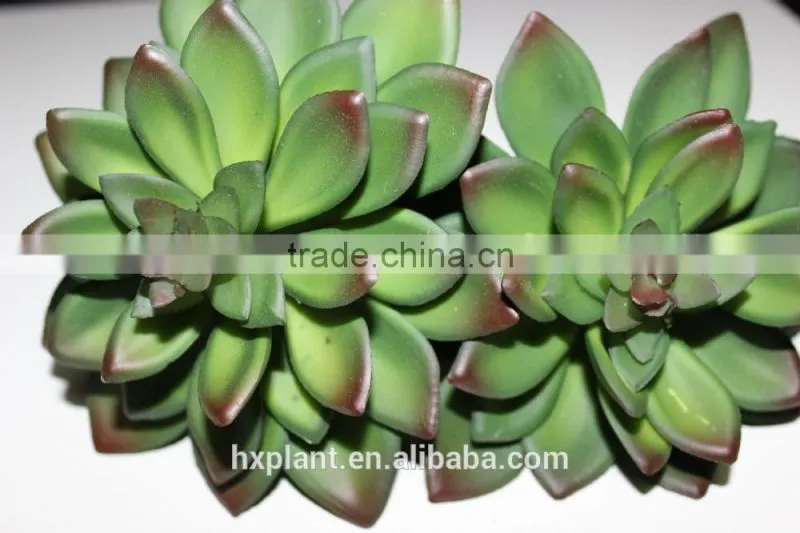 artificial succulent plants making