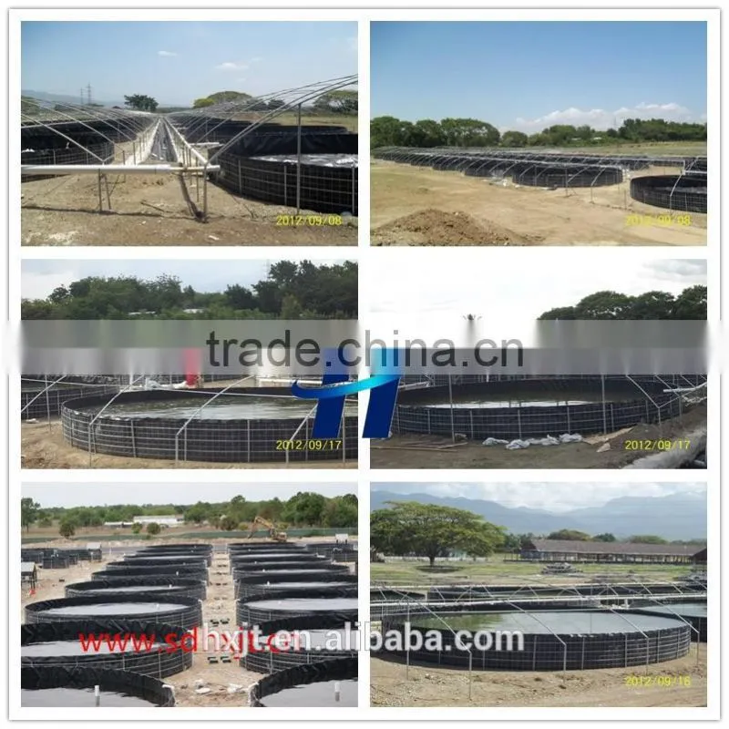 High quality hdpe geomembrane for pond liner