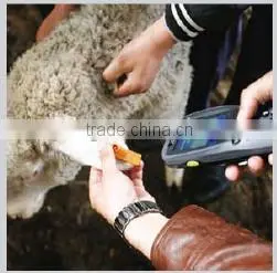 13.56Mhz Uhf Animal Small Rfid Tags passive rfid tags rfid labels