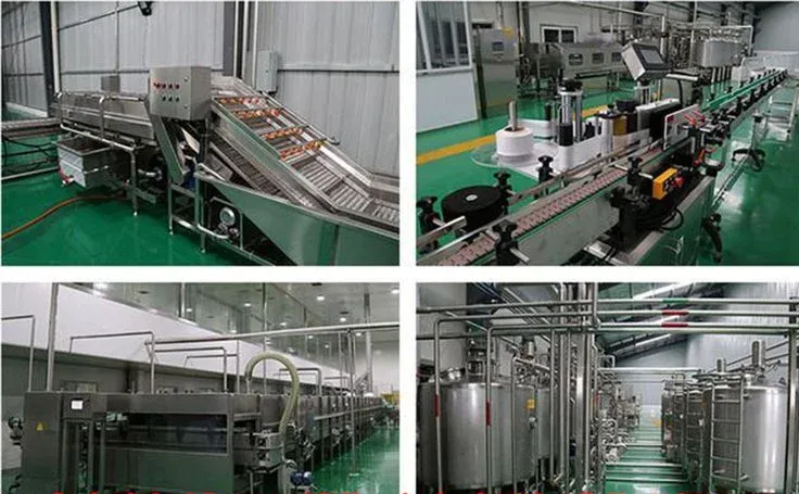 Fully Automatic Soy Sauce and Vinegar Processing Equipment