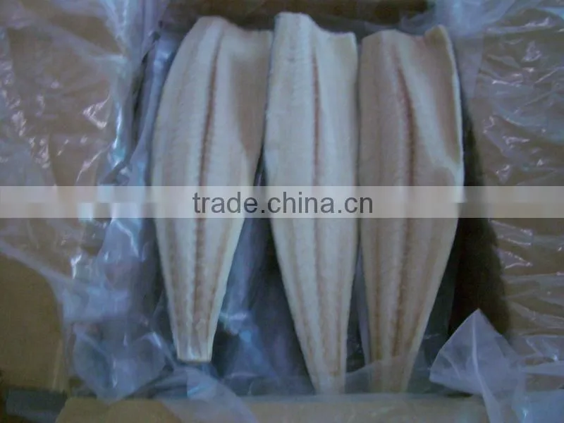 Frozen spanish mackerel fillets
