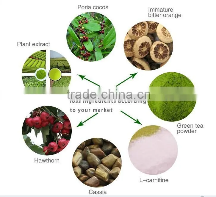 2015 China hot selling slimming Patch