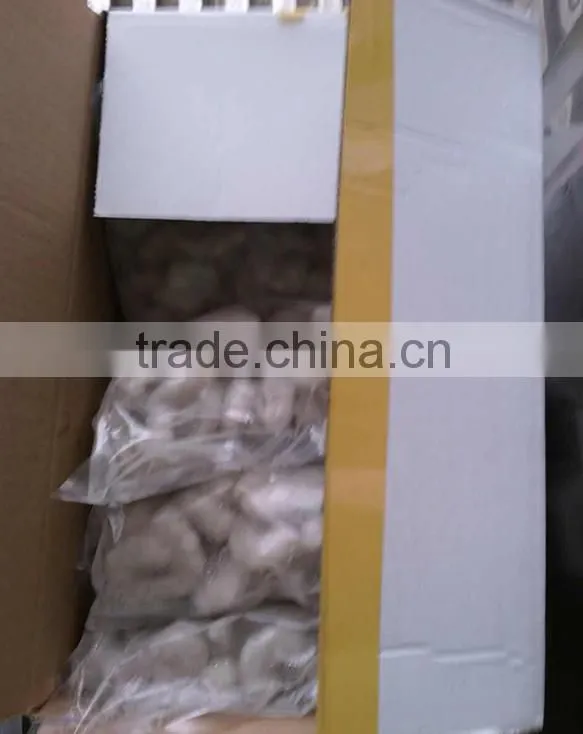 Nutritious Vannamei Shrimp On Hot Sale