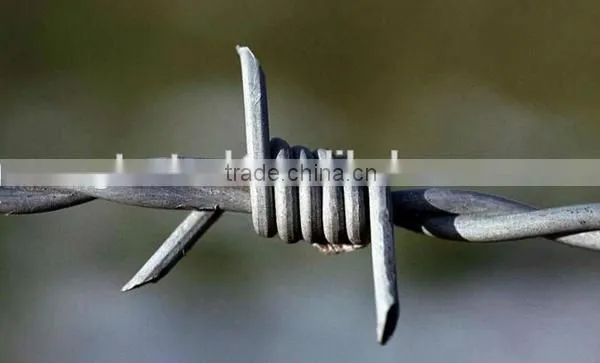 hot-dipped galvanized barbed wire